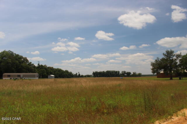 0 Eden Road Bascom, FL 32423 - Photo 5 of 6