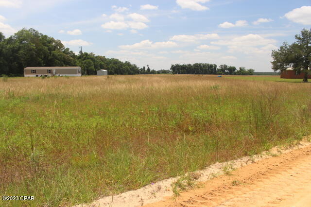 0 Eden Road Bascom, FL 32423 - Photo 6 of 6