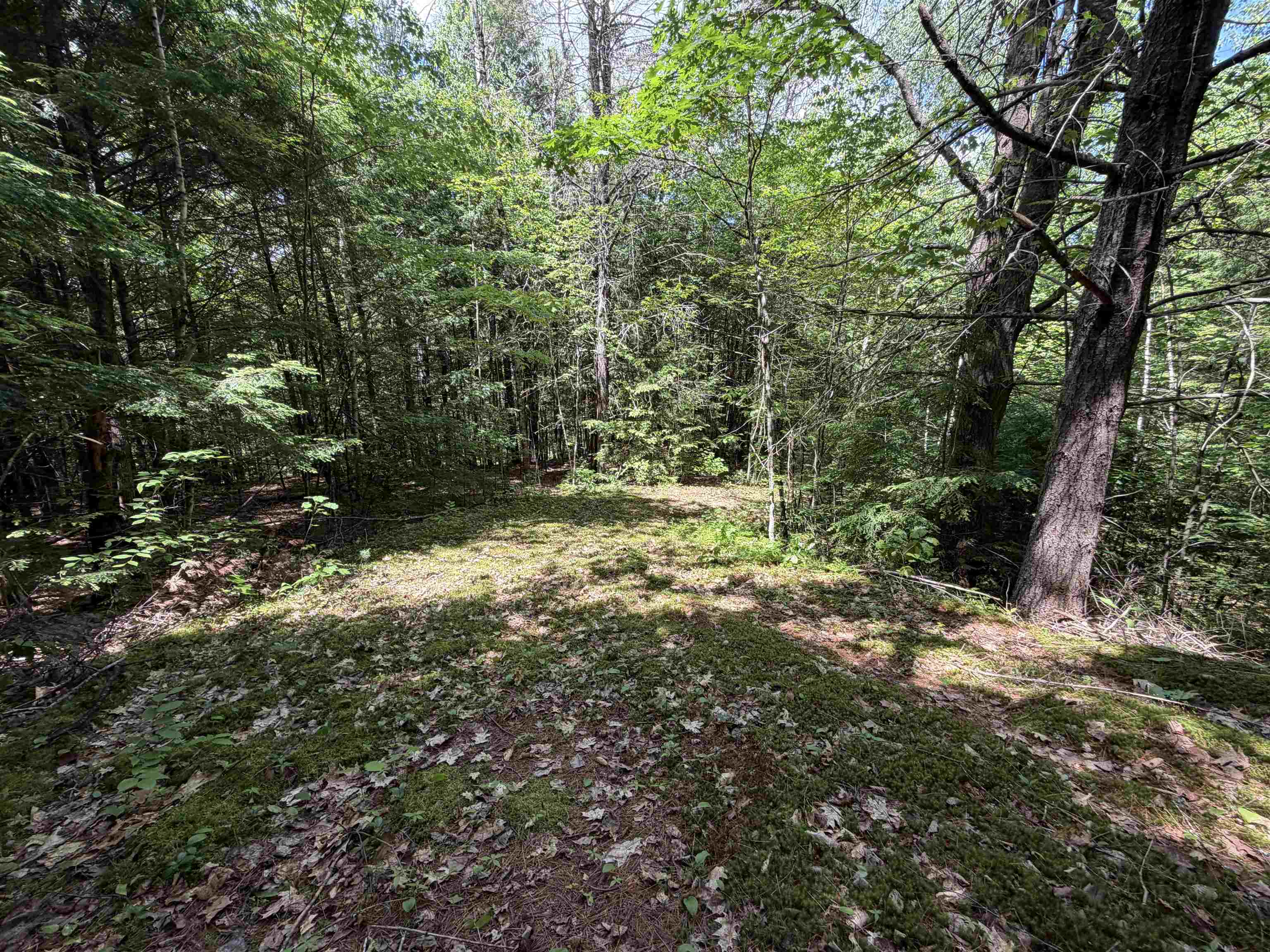 175 Nh Route Campton, NH 03223 - Photo 11 of 15