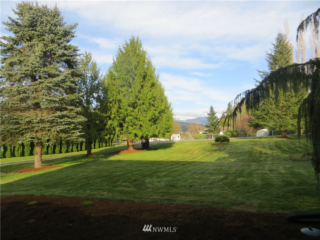4915 Lake Alice Road Southeast Fall City, WA 98024 - Photo 14 of 19 Gallery Image 14