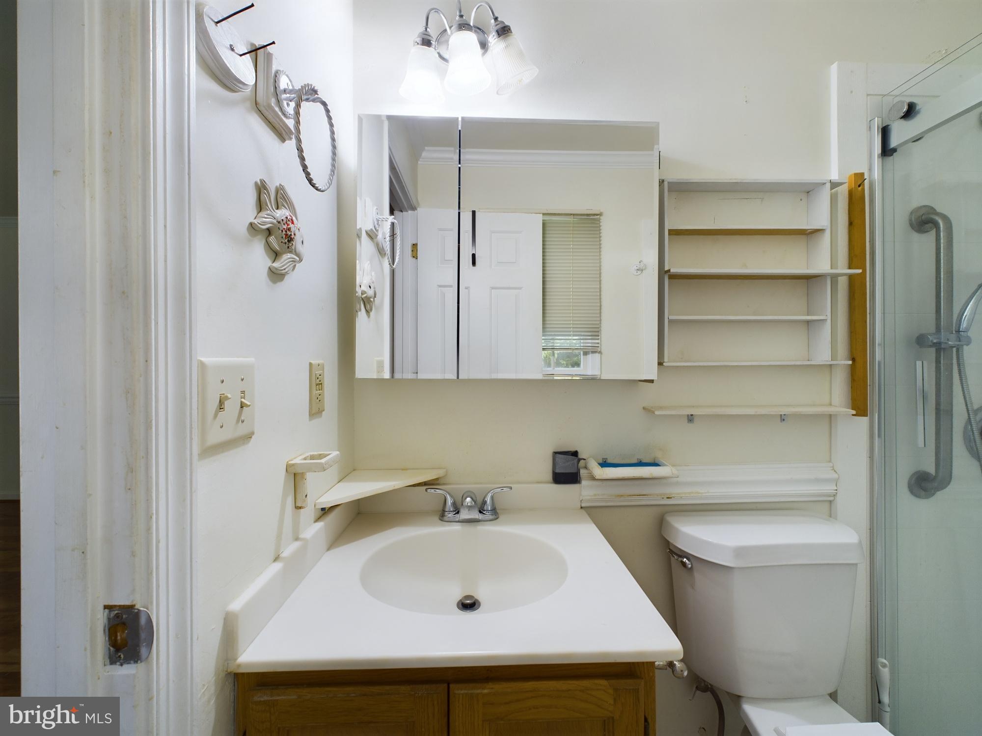 103 Birchfield Drive Dover, DE 19904 - Photo 20 of 44 a bathroom with a sink a toilet and shower