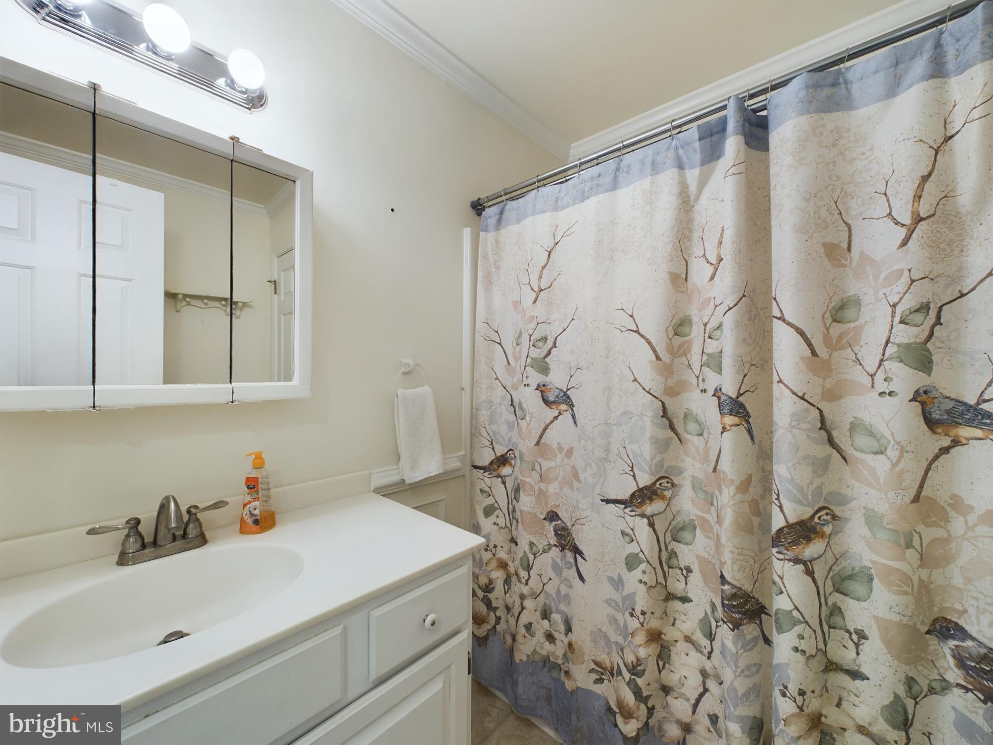 103 Birchfield Drive Dover, DE 19904 - Photo 26 of 44 a bathroom with a sink and a mirror