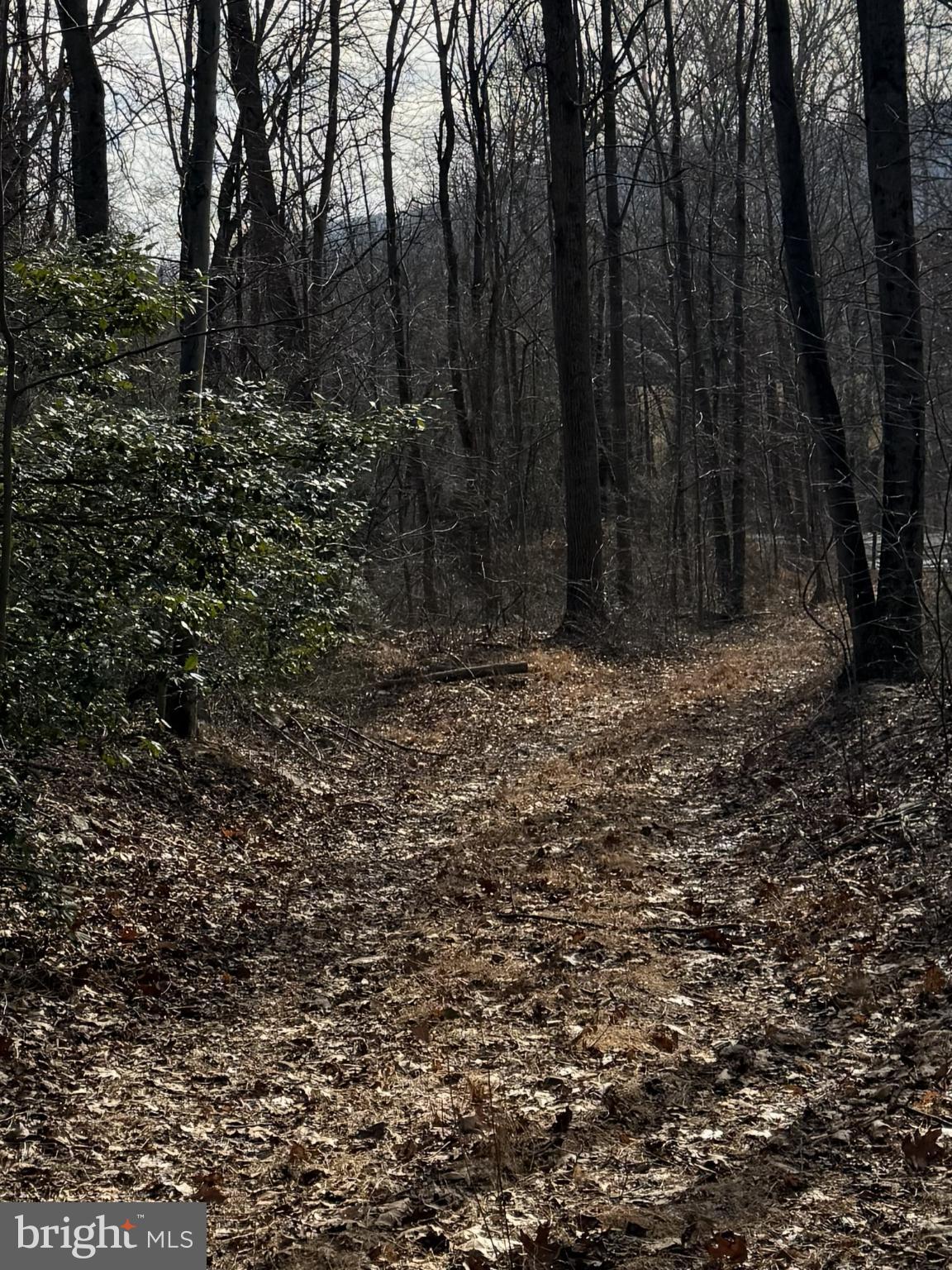 Corner Of Poplar Ridge Lane Dauphin, PA 17018 - Photo 3 of 3 Serene woodland path beckons exploration.
