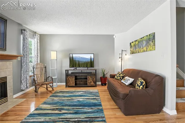 a living room with furniture and a fireplace