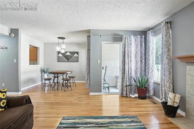 a living room with furniture dining table and a potted plant