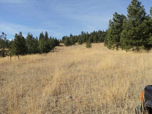 Tbd Beck Road Rice, WA 99167 - Photo 8 of 19