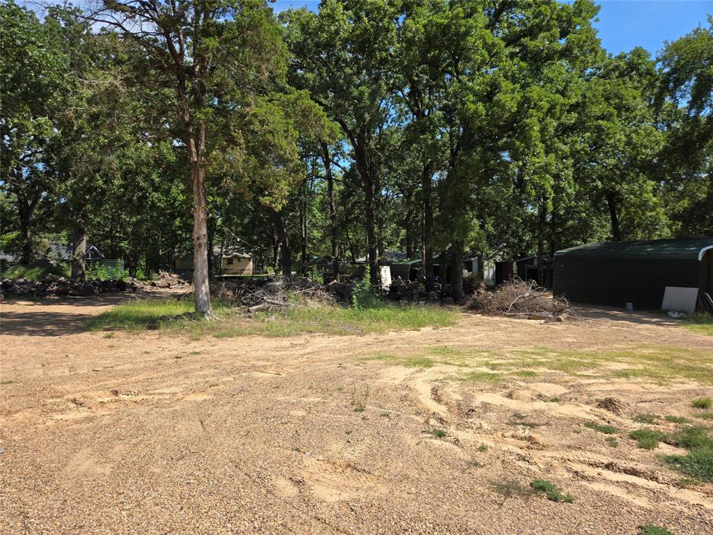0 Redbud Road Gun Barrel City, TX 75156 - Photo 3 of 6 a view of a backyard