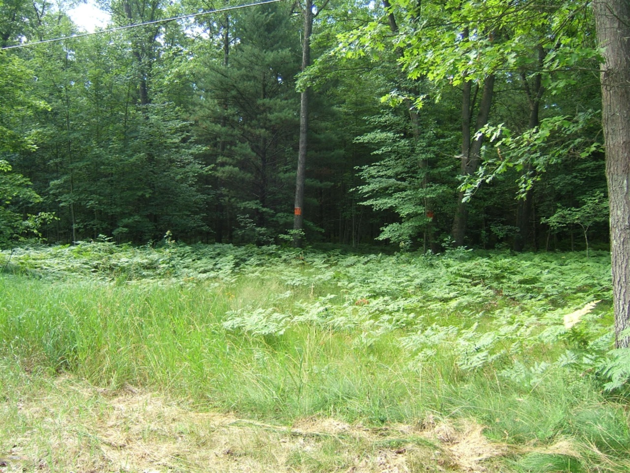 West Bard Road Whitehall, MI 49461 - Photo 8 of 8