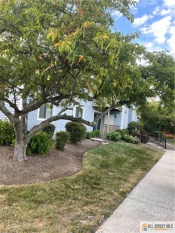 a view of a flower in a garden