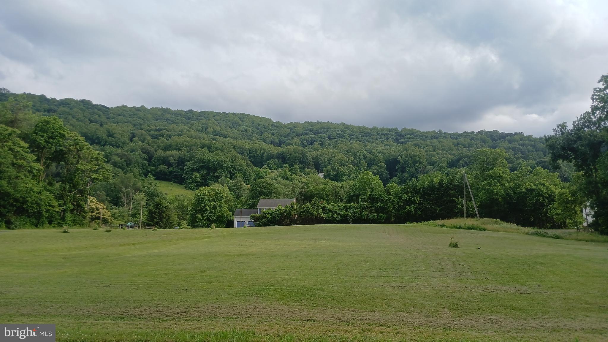 a view of a green field with clear sky