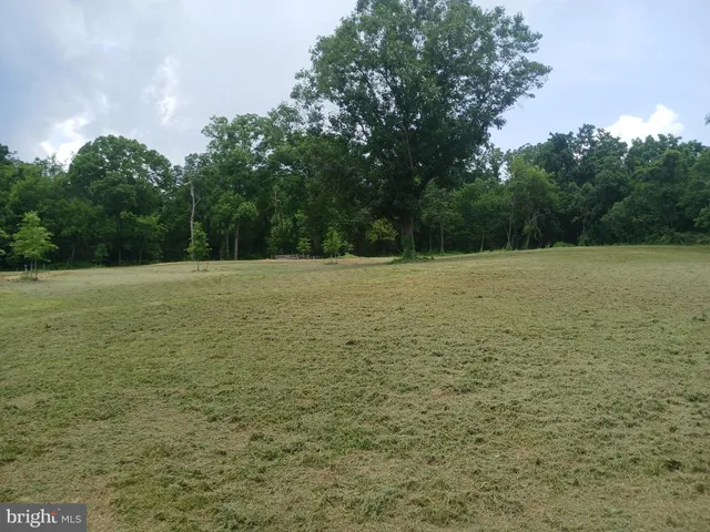 a view of empty field with trees