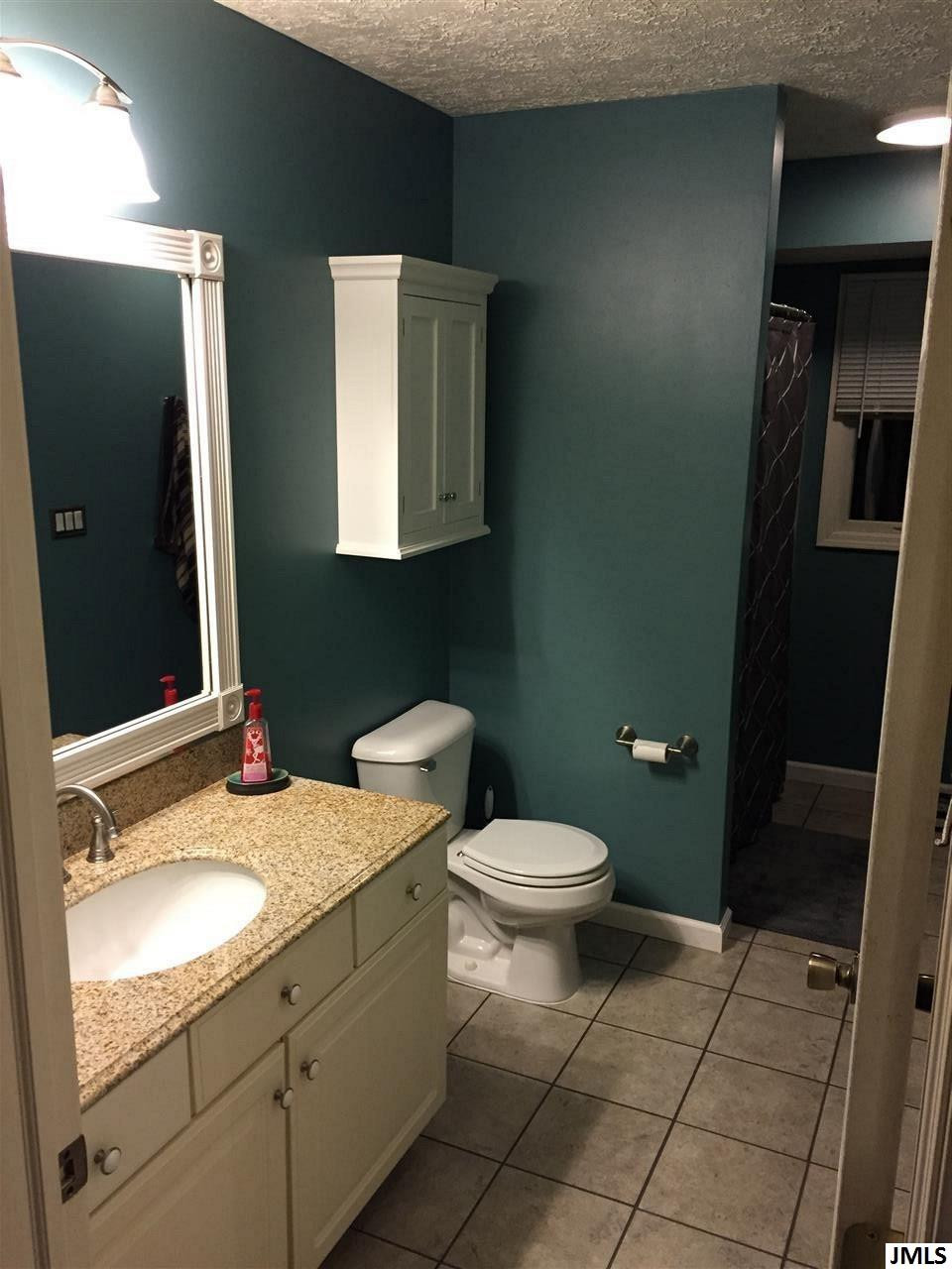 6773 Buckman Road Hanover, MI 49241 - Photo 29 of 36 Photo 29