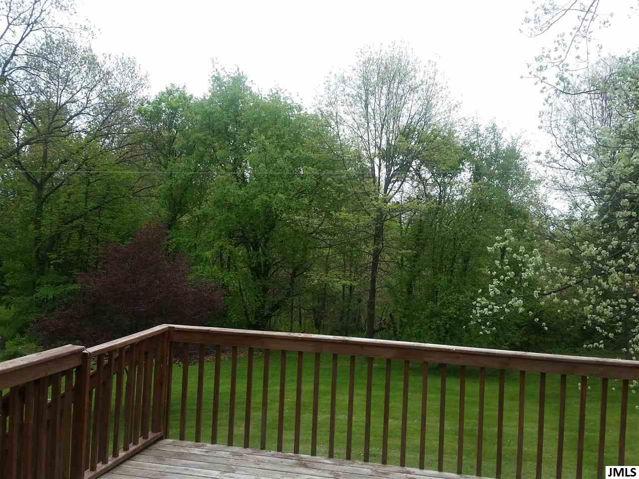6773 Buckman Road Hanover, MI 49241 - Photo 32 of 36 Photo 32