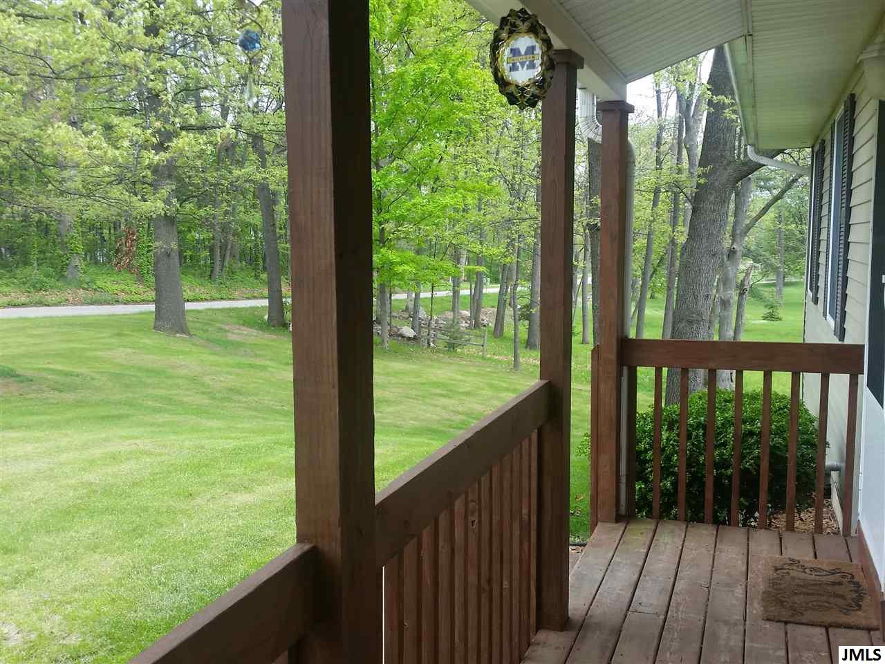 6773 Buckman Road Hanover, MI 49241 - Photo 36 of 36 Photo 36