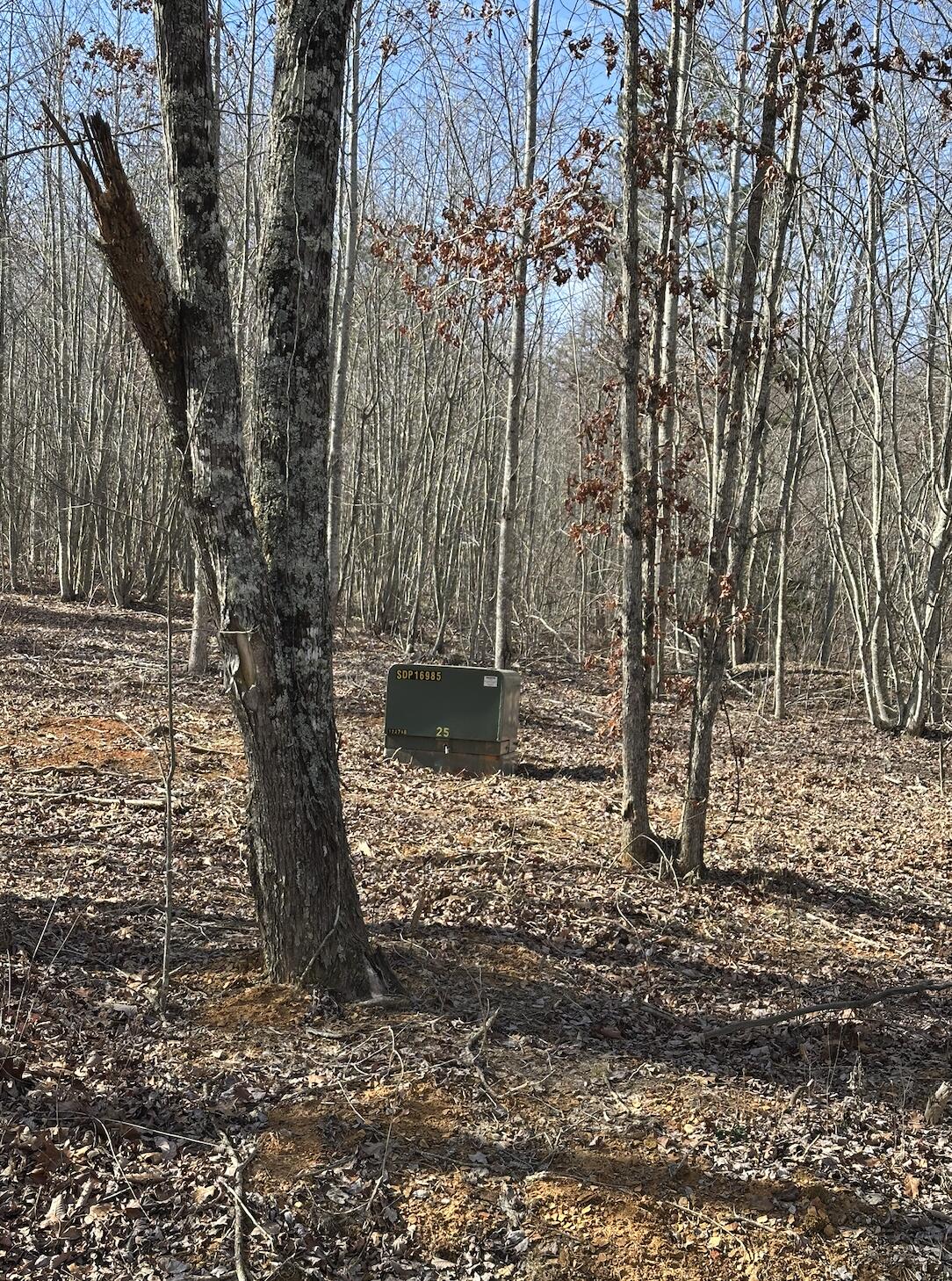 833 Coke Bowman Road Soddy-Daisy, TN 37379 - Photo 3 of 15 EPBTransformer