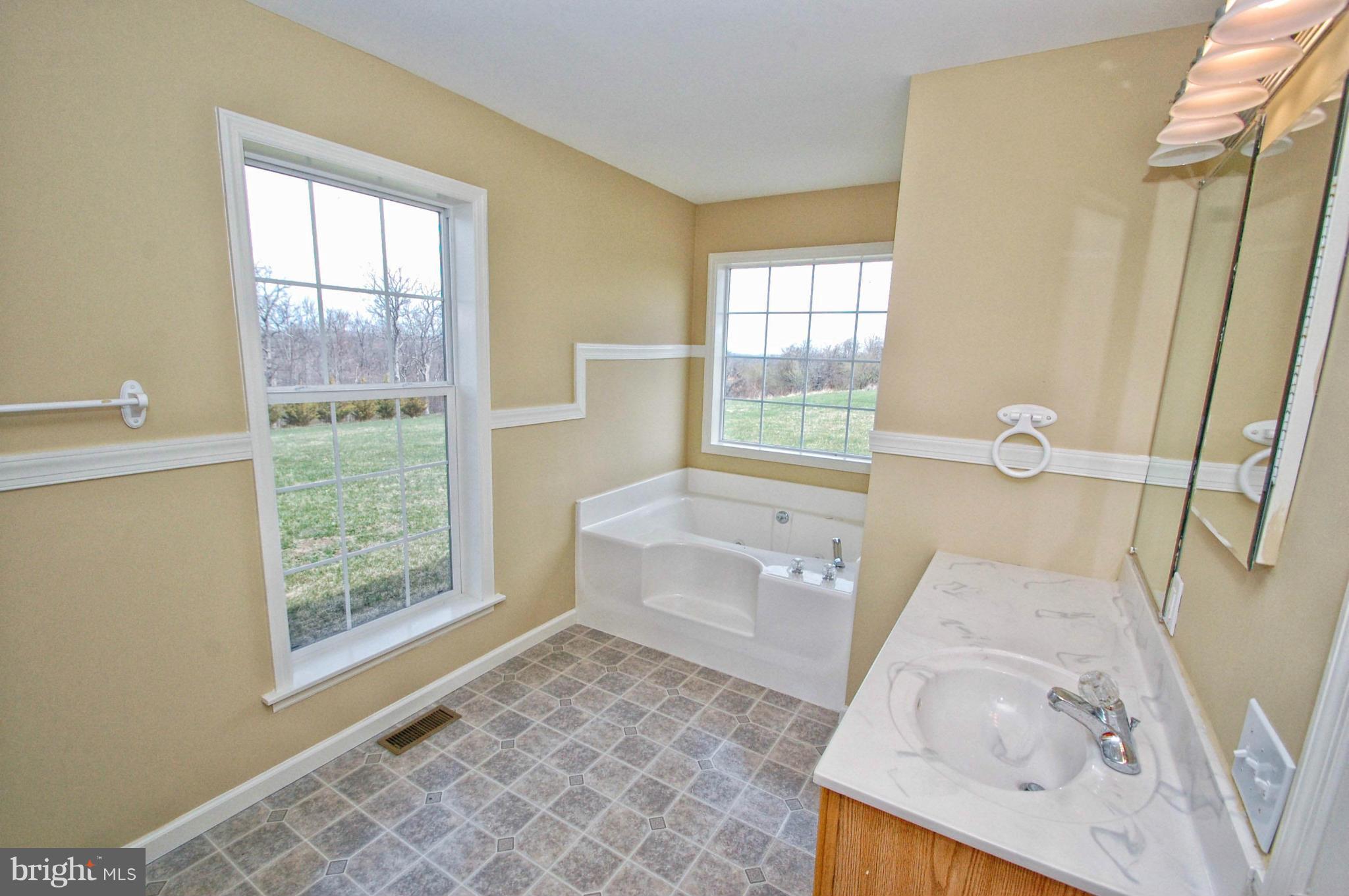 721 Parishville Road Gore, VA 22637 - Photo 21 of 25 Bath (Master)