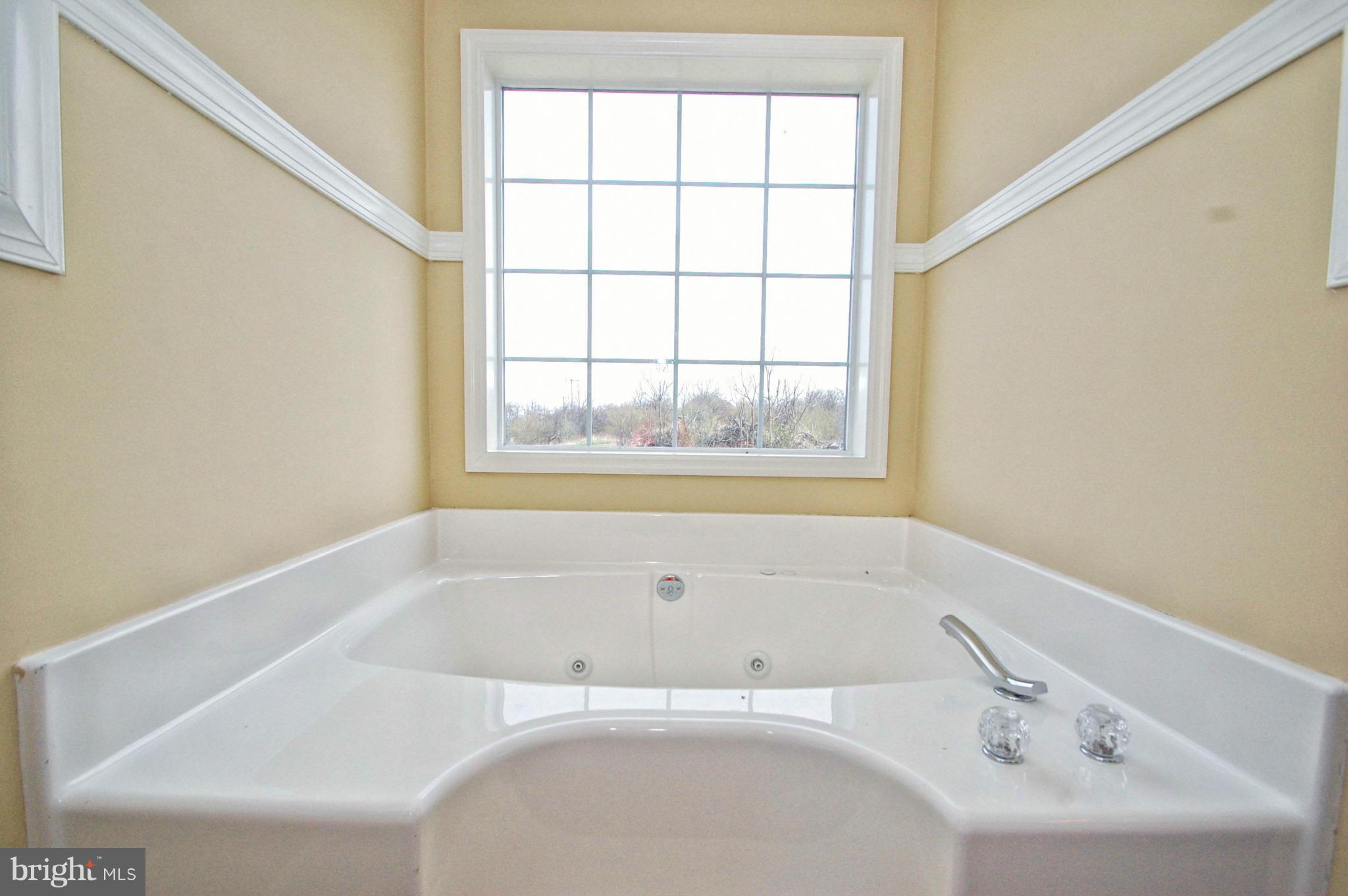 721 Parishville Road Gore, VA 22637 - Photo 23 of 25 Bath (Master)