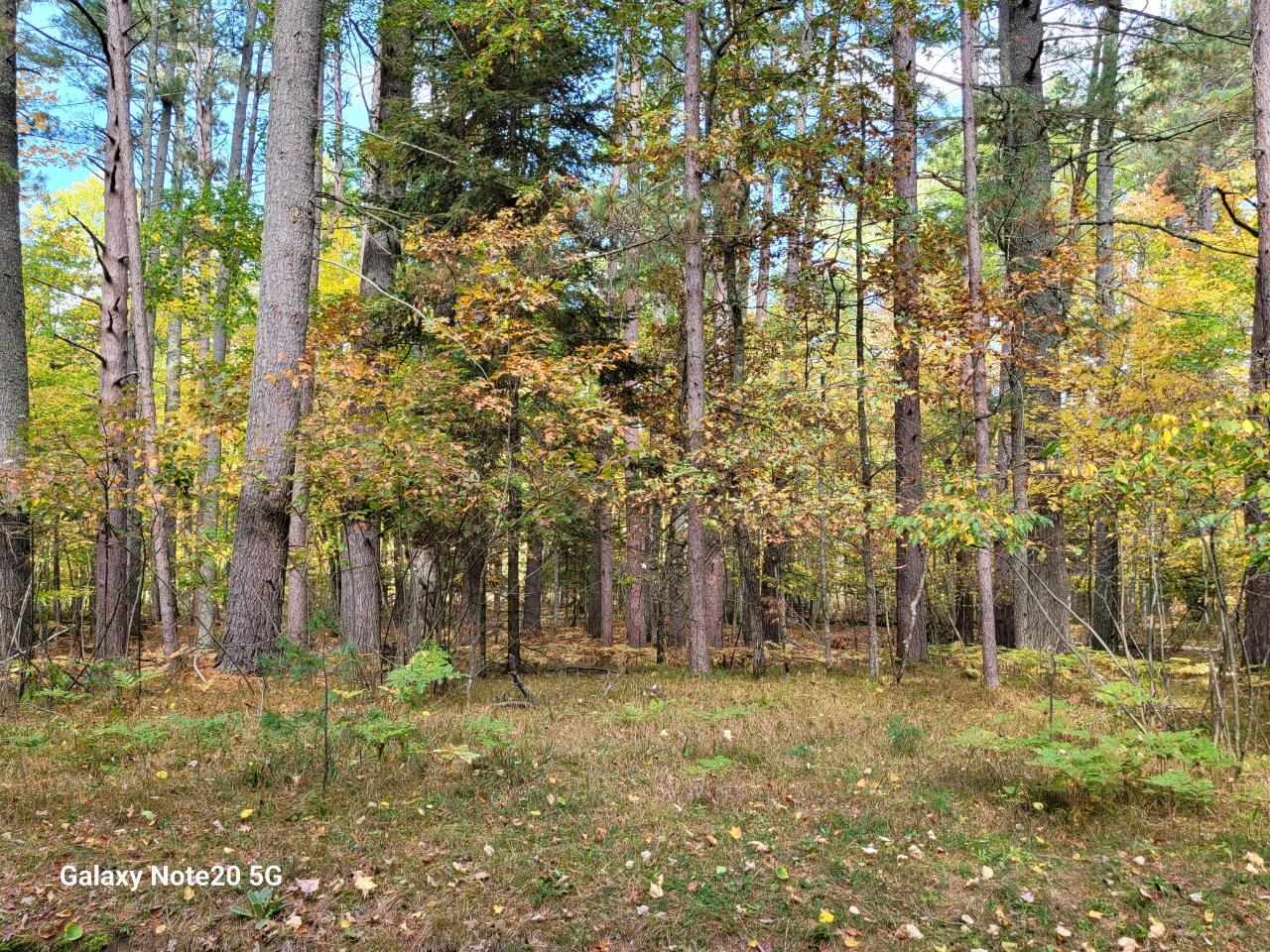 Lot #90 Eagle Pines Road Eagle River, WI 54521 - Photo 3 of 20 Gallery Image 3