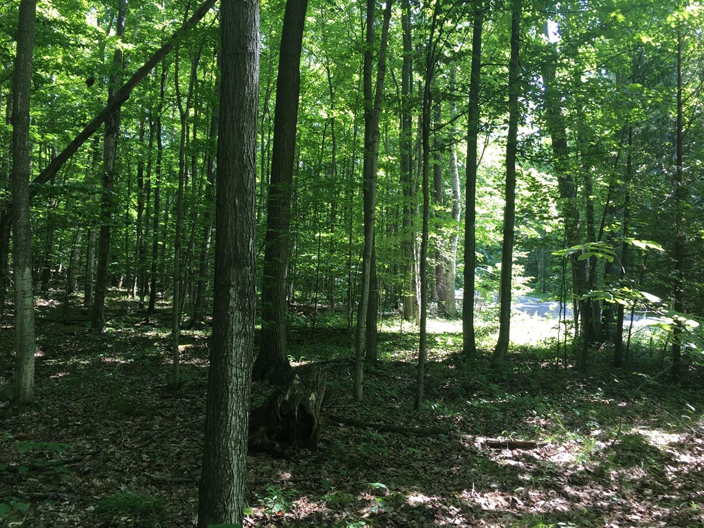Tbd Harbor Heights Road Egg Harbor, WI 54209 - Photo 10 of 13 Gallery Image 10