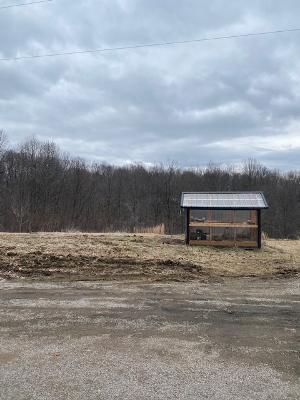 2308 Hickory Grove Road Oak Hill, OH 45656 - Photo 15 of 53 thumbnail (39)
