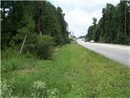 a view of a lush green space