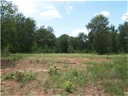 37121 Farm To Market 1774 Magnolia, TX 77355 - Photo 3 of 5 a view of an outdoor space with a lake view