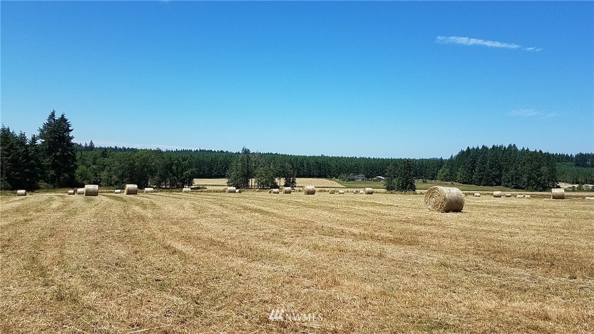 X South X S Military Road Winlock, WA 98596 - Photo 1 of 6