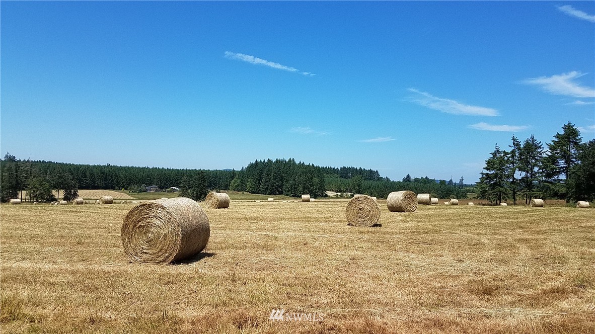 X South X S Military Road Winlock, WA 98596 - Photo 3 of 6