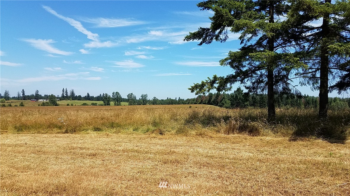 X South X S Military Road Winlock, WA 98596 - Photo 4 of 6