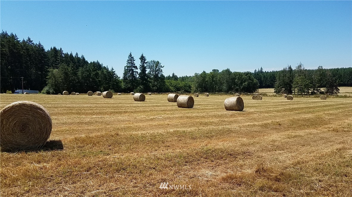 X South X S Military Road Winlock, WA 98596 - Photo 5 of 6