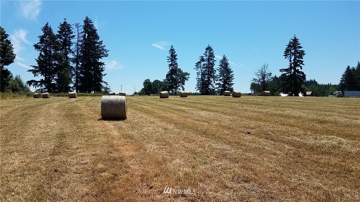 X South X S Military Road Winlock, WA 98596 - Photo 6 of 6