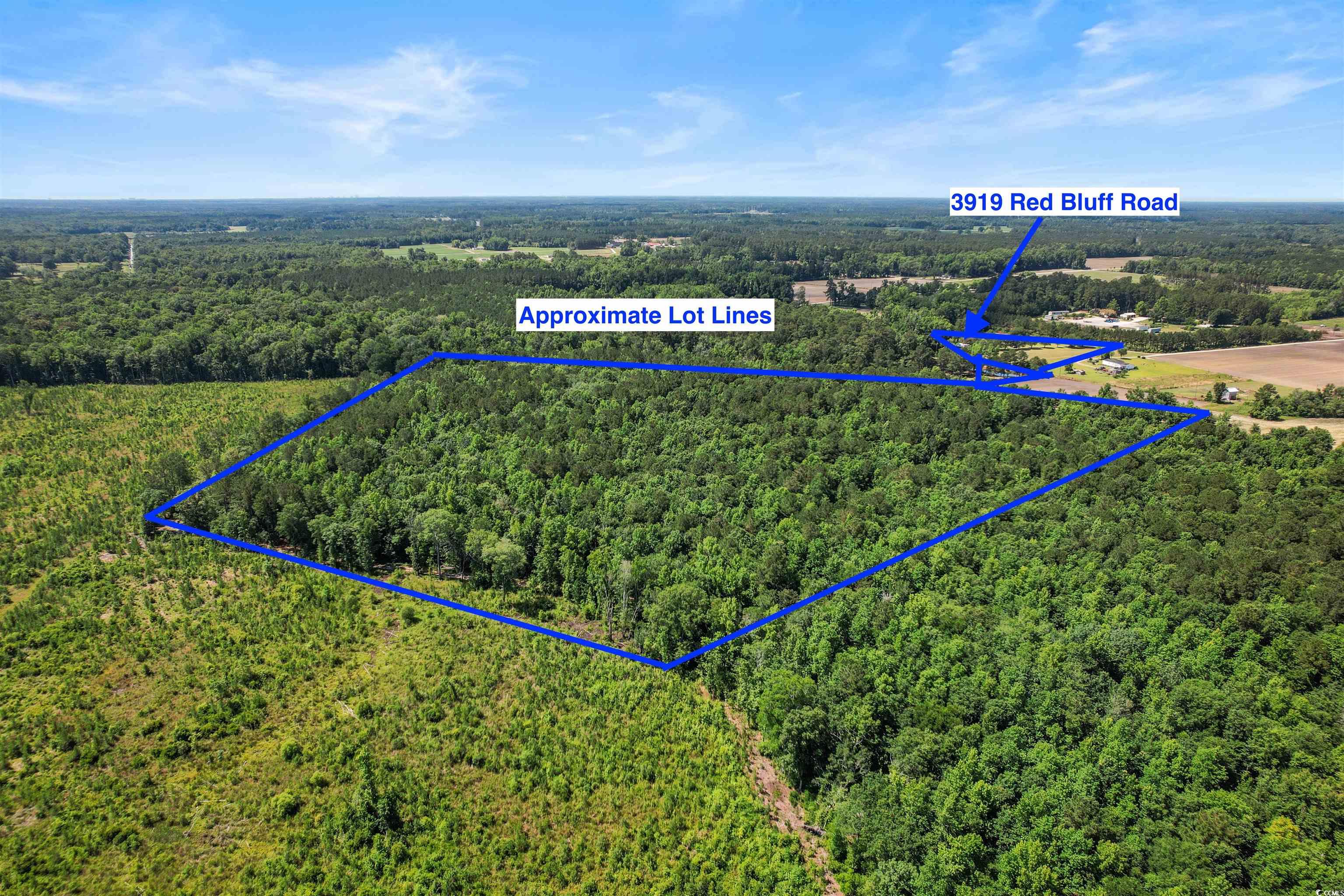 3919 Red Bluff Road Loris, SC 29569 - Photo 12 of 30 Gallery Image 12
