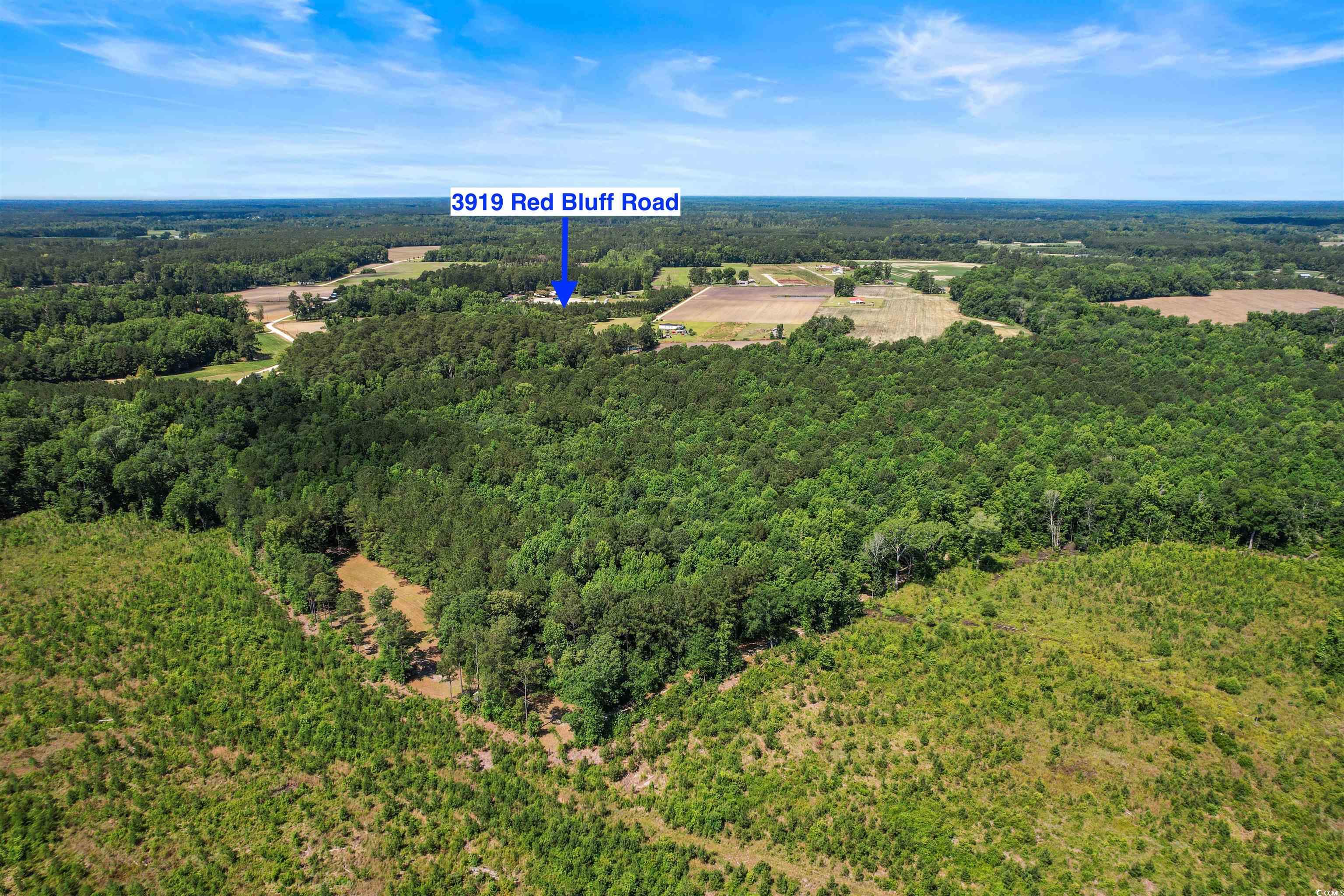 3919 Red Bluff Road Loris, SC 29569 - Photo 13 of 30 Gallery Image 13