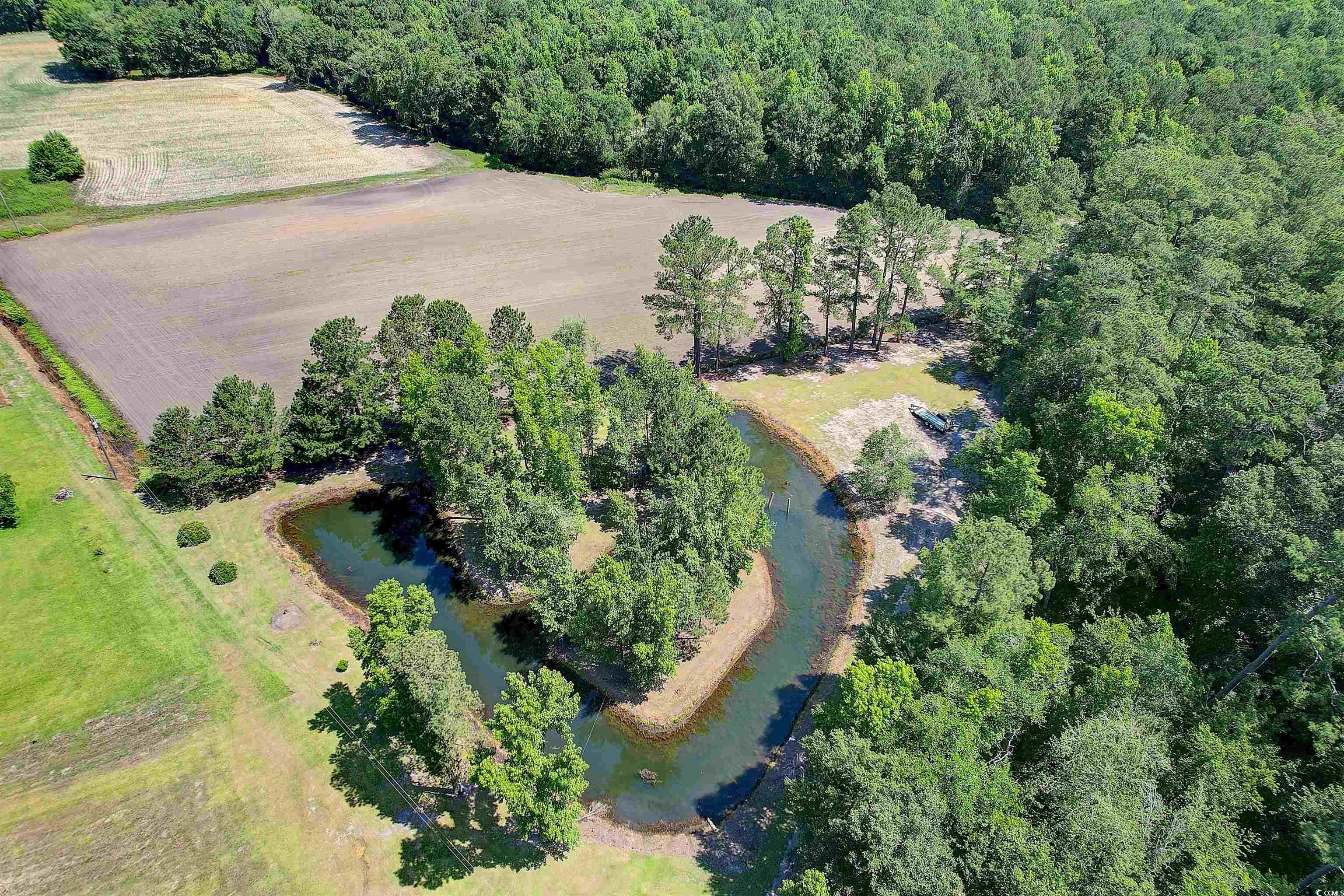 3919 Red Bluff Road Loris, SC 29569 - Photo 4 of 30 Gallery Image 4