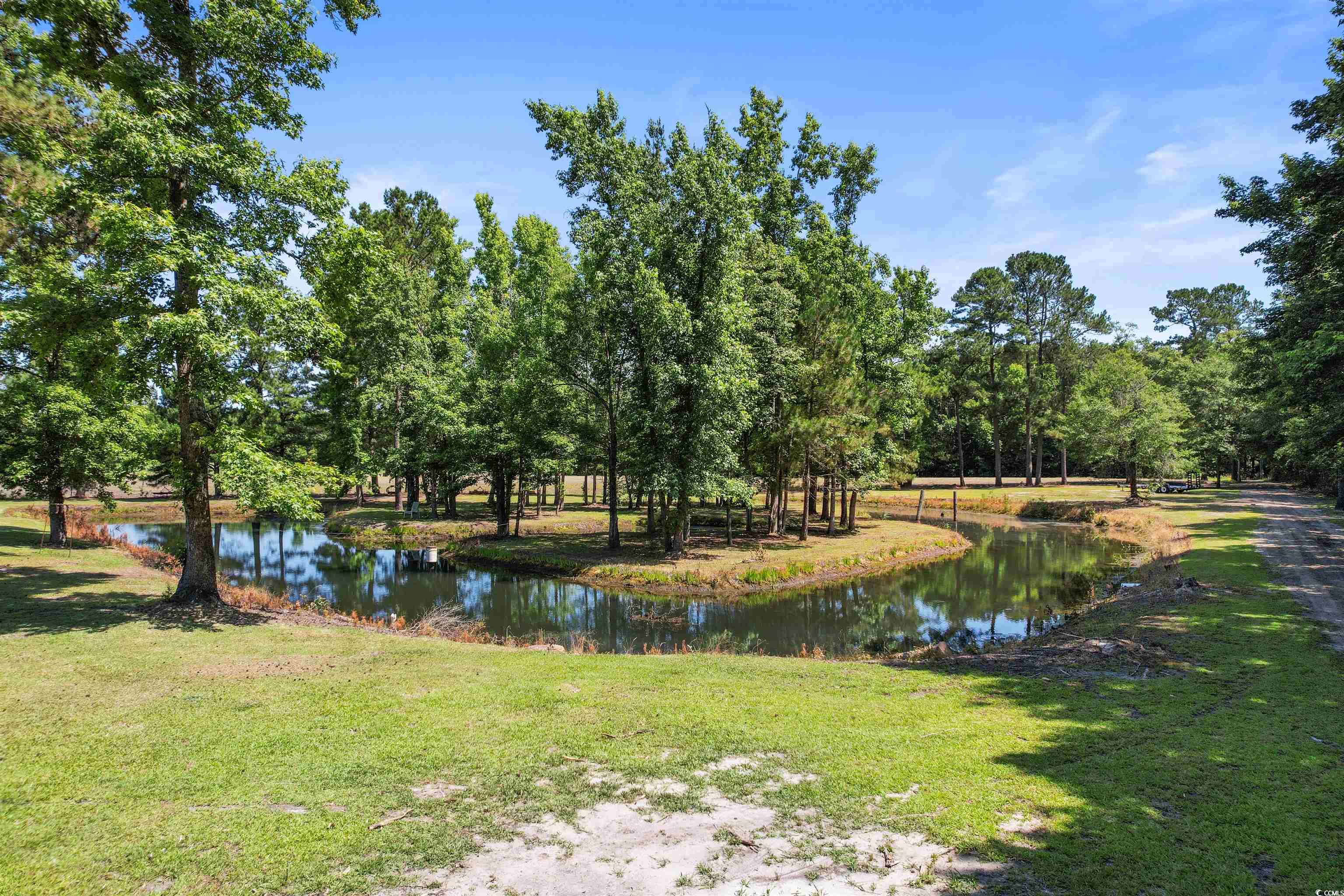 3919 Red Bluff Road Loris, SC 29569 - Photo 5 of 30 Gallery Image 5