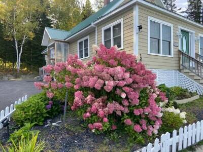 52 Devoe Brook Road Eagle Lake, ME 04739 - Photo 5 of 70