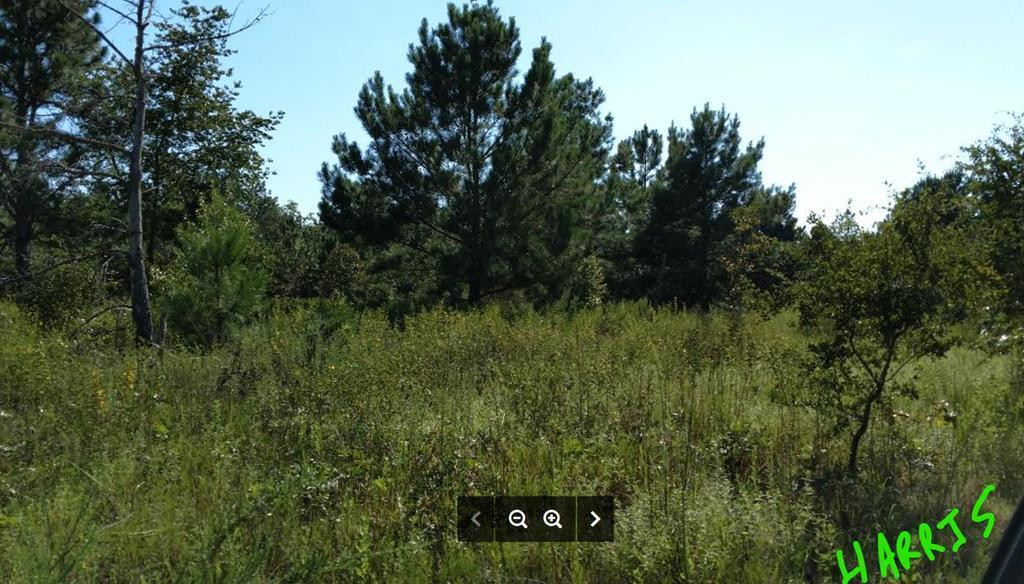 Lot F Bath Patterson Road Hephzibah, GA 30815 - Photo 1 of 1