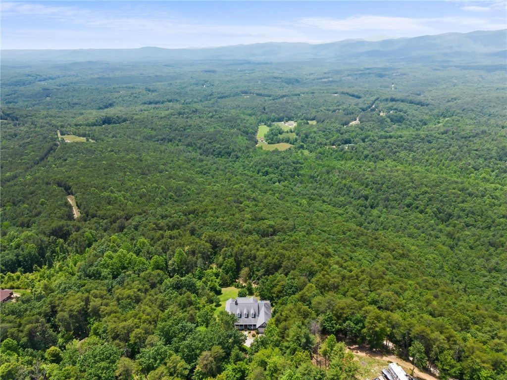 277 Jocassee Ridge Way Salem, SC 29676 - Photo 43 of 50