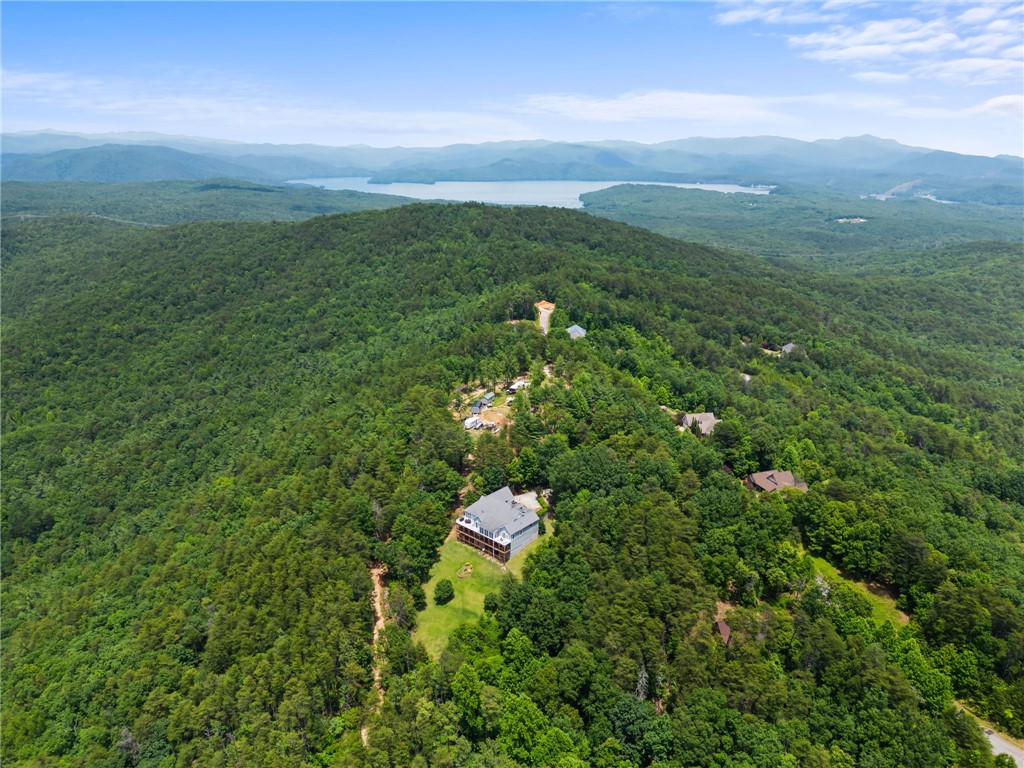 277 Jocassee Ridge Way Salem, SC 29676 - Photo 45 of 50