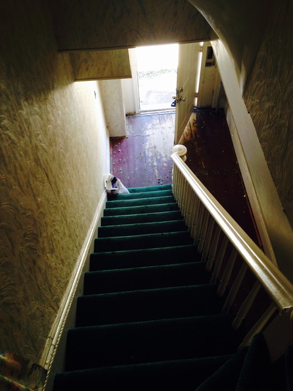 47 Dane Street Somerville, MA 02143 - Photo 15 of 20