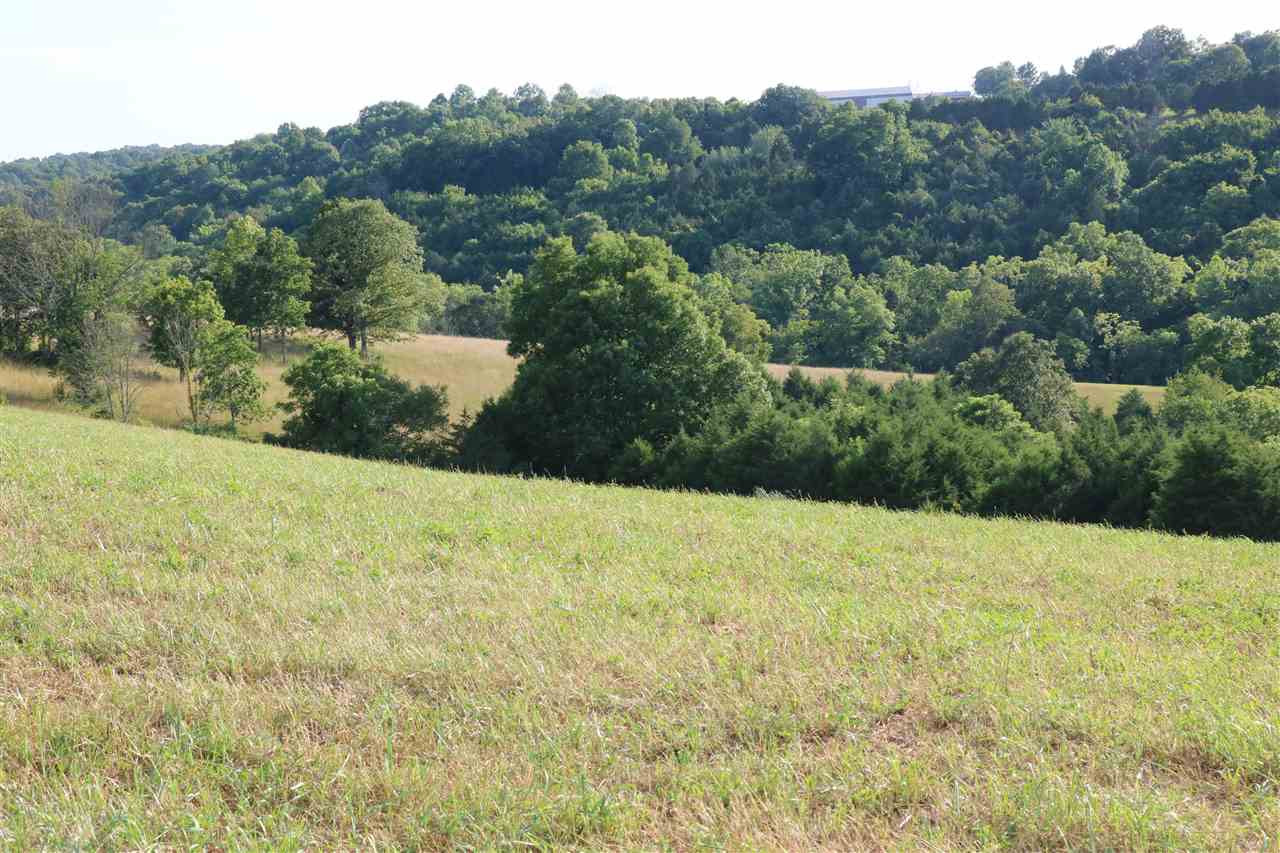 1701 Decker Road California, KY 41007 - Photo 5 of 16