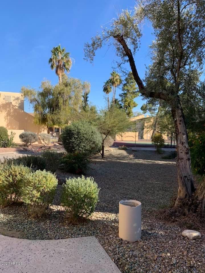 8055 East Thomas Road, Unit B102 Scottsdale, AZ 85251 - Photo 21 of 22 82945164_10221664746027746_6573384168774