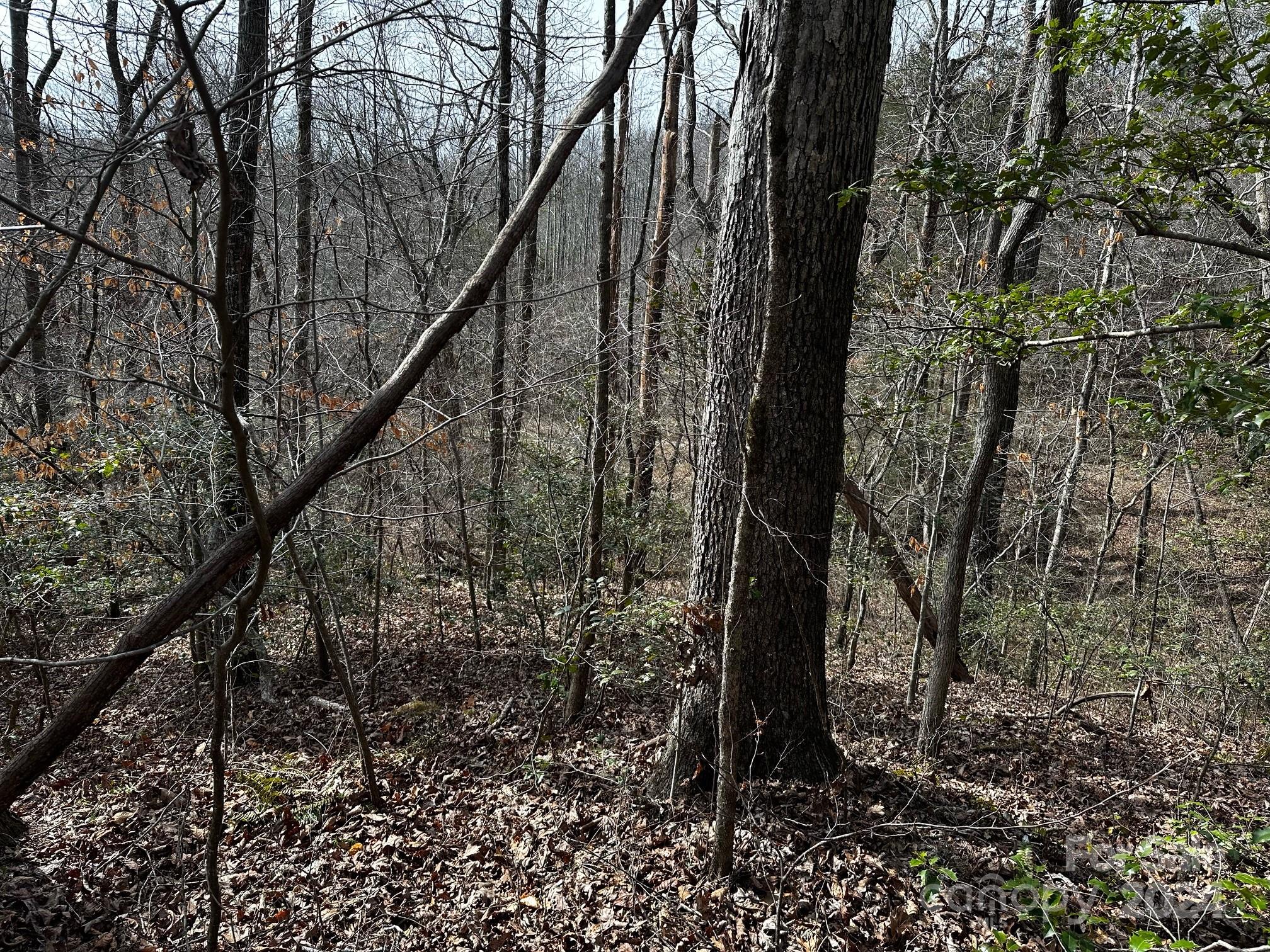 408-410 Huckleberry Ridge Road Hiddenite, NC 28636 - Photo 5 of 11