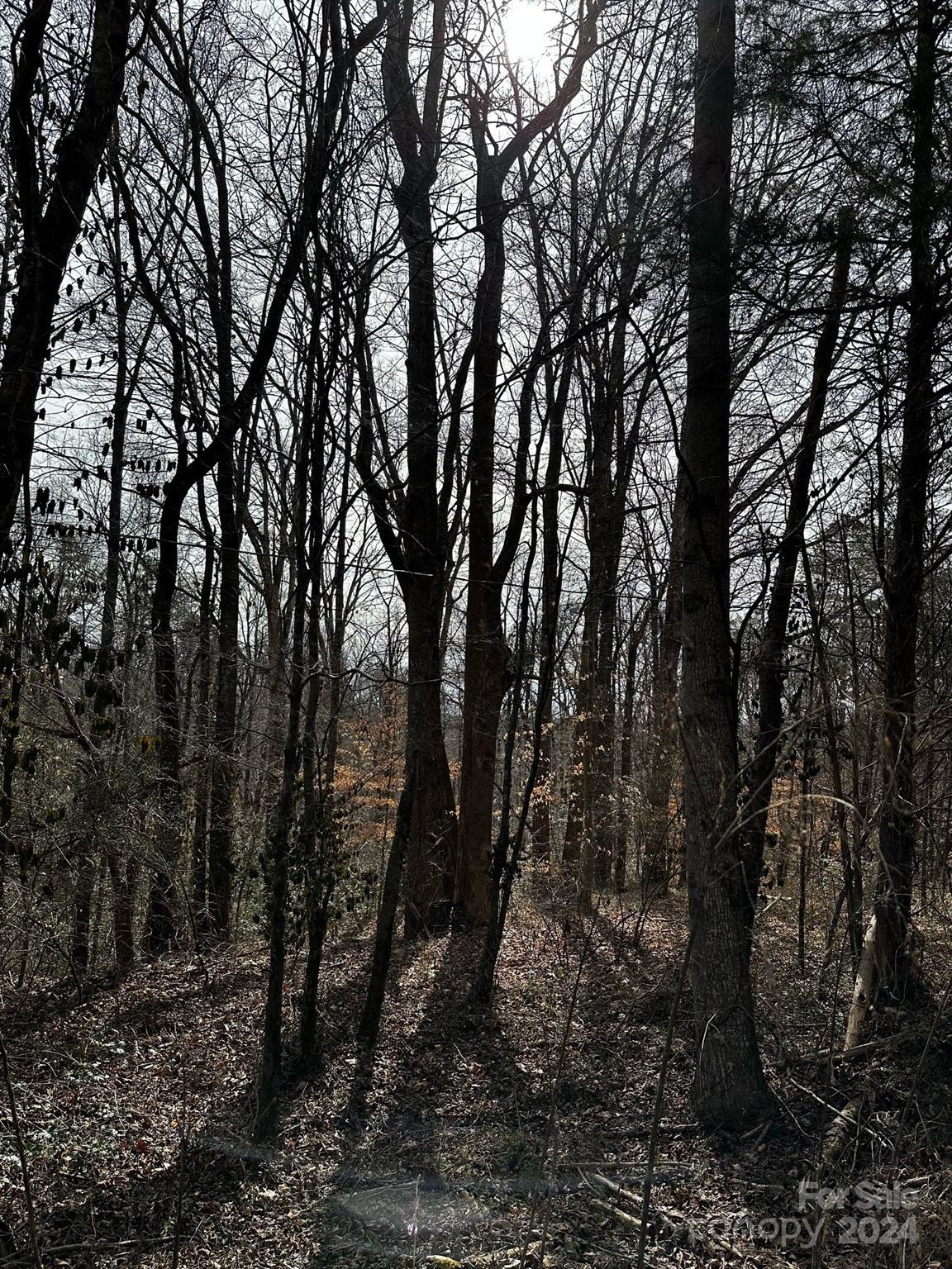 408-410 Huckleberry Ridge Road Hiddenite, NC 28636 - Photo 7 of 11 a view of forest