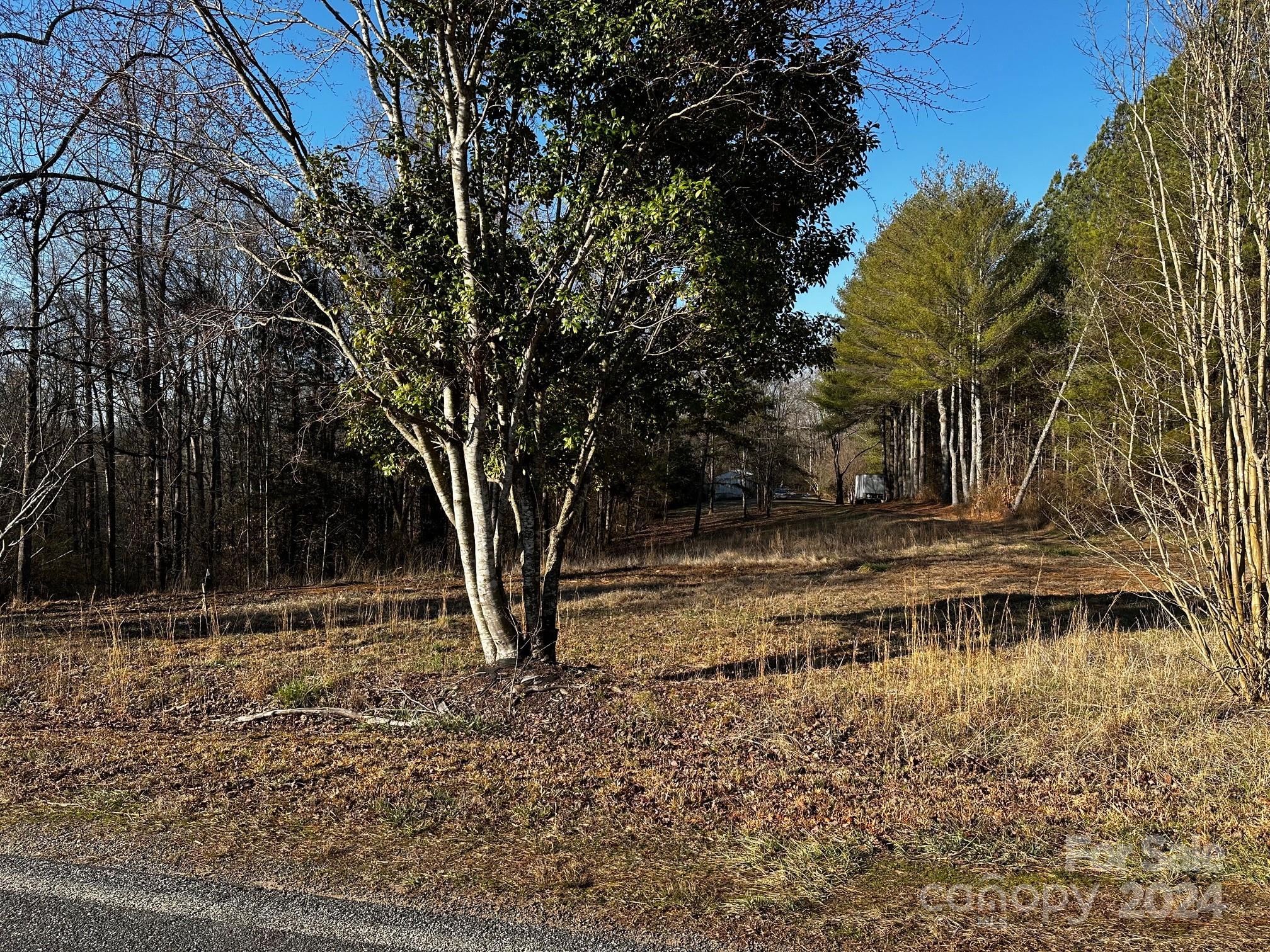 408-410 Huckleberry Ridge Road Hiddenite, NC 28636 - Photo 8 of 11 a backyard of a house with lots of green space