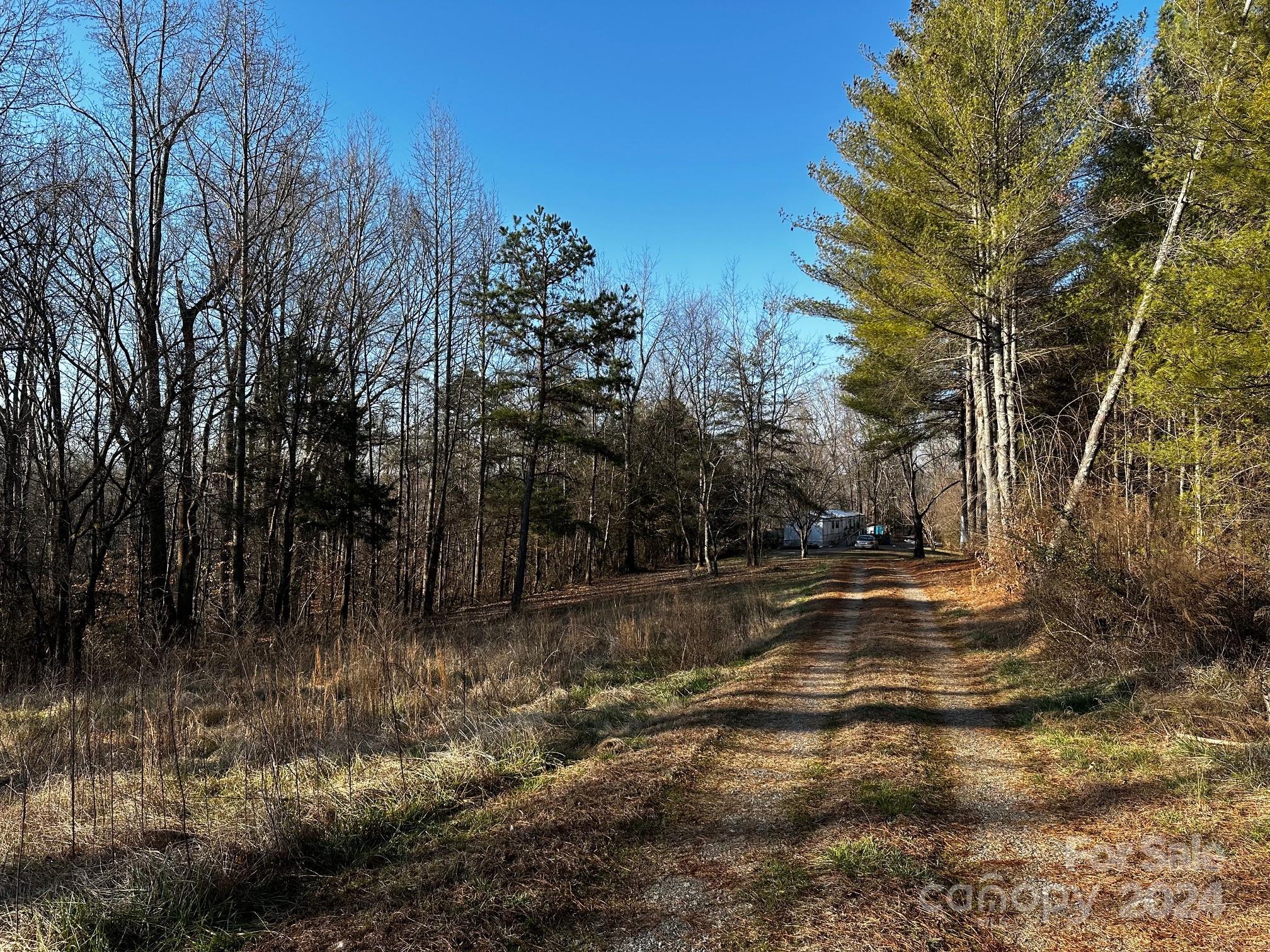 408-410 Huckleberry Ridge Road Hiddenite, NC 28636 - Photo 10 of 11 a view of a yard with a tree