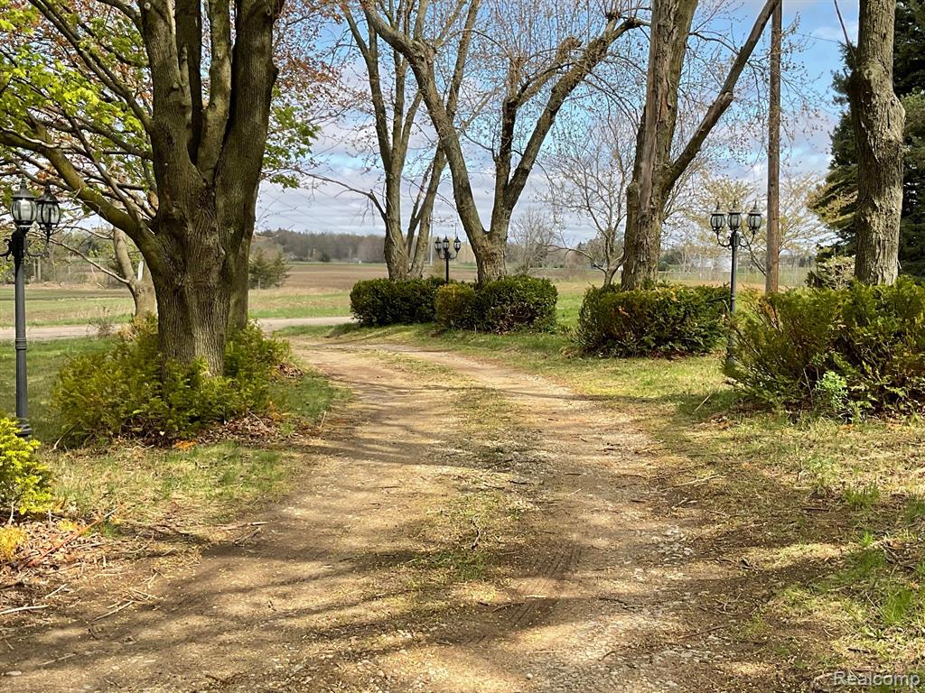 6354 Cyclone Road Otter Lake, MI 48464 - Photo 8 of 33 Gallery Image 8