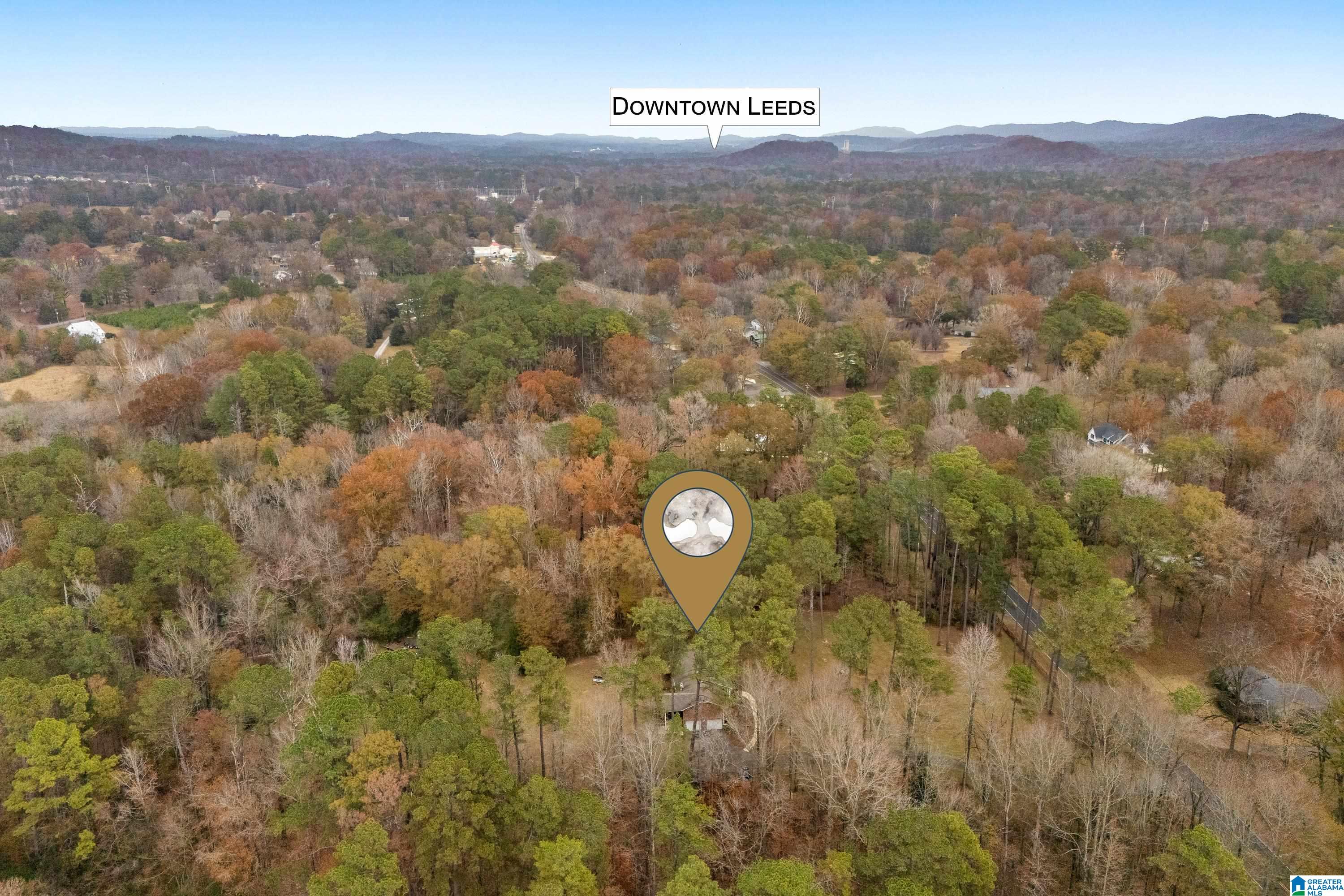 2320 Montevallo Road Southwest Leeds, AL 35094 - Photo 59 of 62