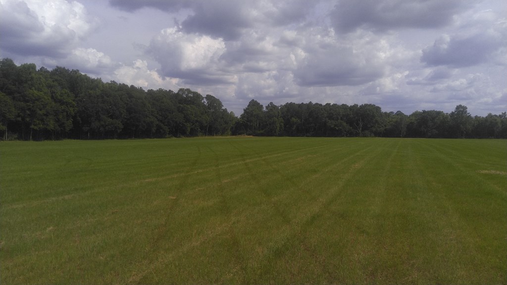 0 Bateman Avenue Slocomb, AL 36375 - Photo 2 of 5