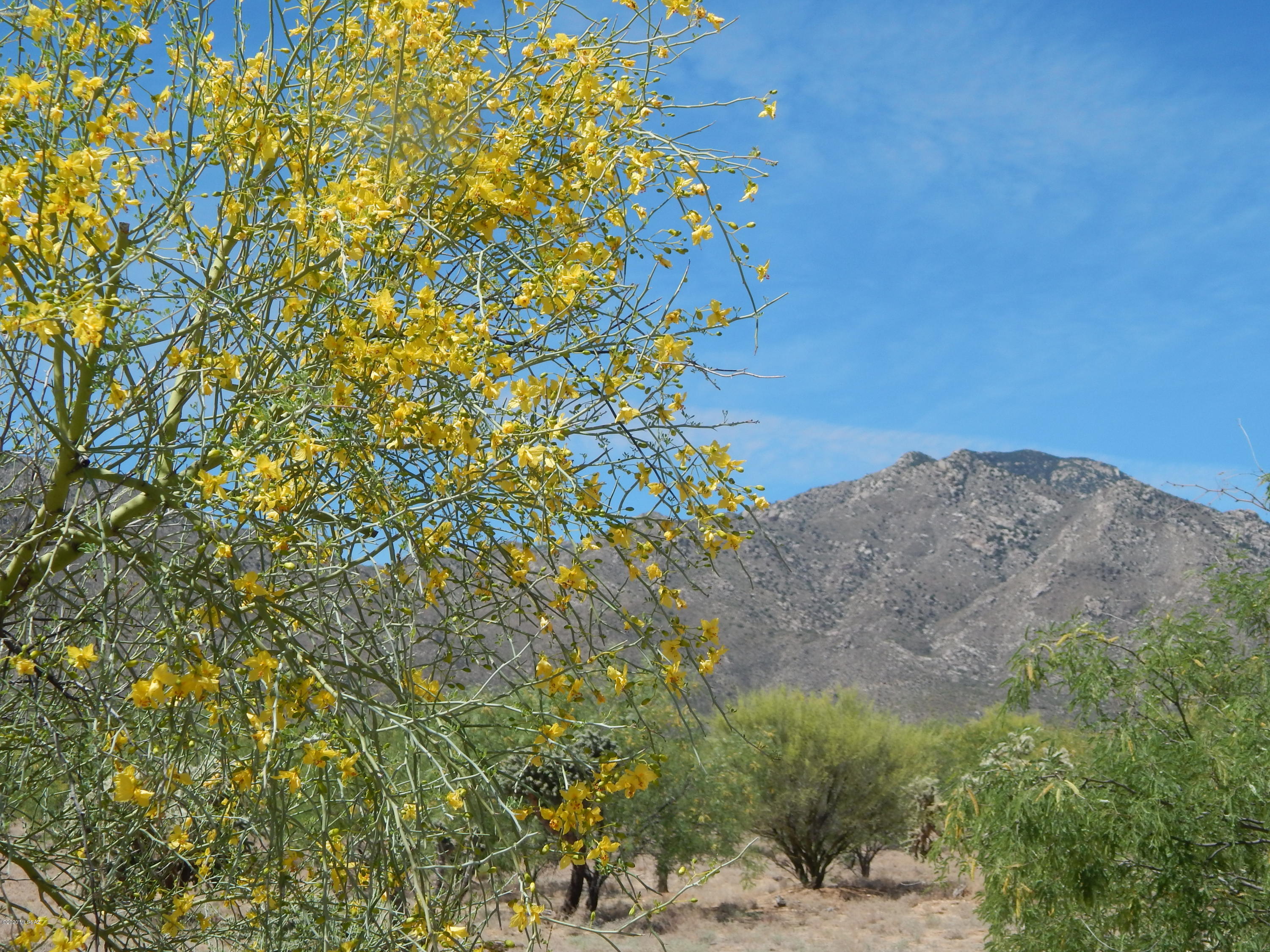 23400 West Ressie Road, Unit 98 Tucson, AZ 85735 - Photo 23 of 36